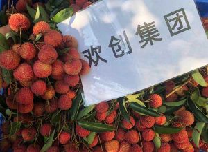 夏日好“枝”味，新澳彩（中国）新澳彩发福“荔”啦