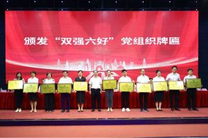 喜报！新澳彩（中国）新澳彩党支部荣获广州市非公有制经济组织“双强六好”党