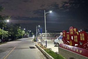 新澳彩（中国）新澳彩罗宁弟爱心捐赠路灯，点亮乡村路温暖乡民心