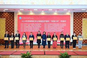 党建引领，慈善同行 | 新澳彩（中国）新澳彩荣获番禺区工商联三项荣誉！